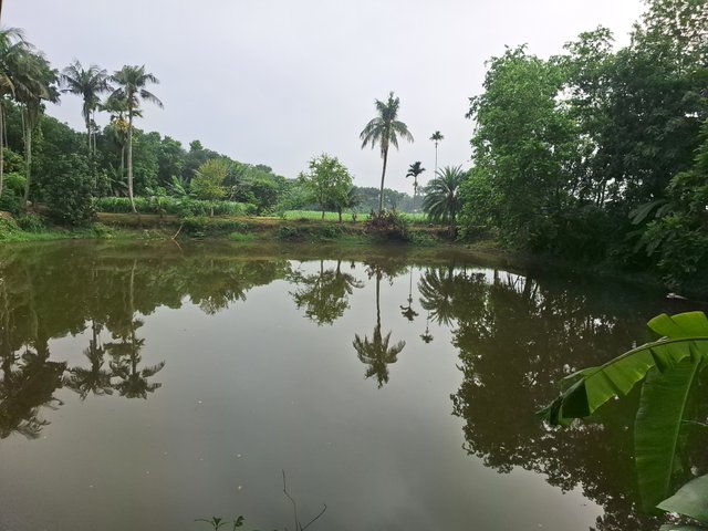1000207567.jpg