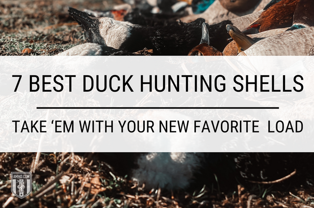 7 Best Duck Hunting Shells- Hero Image (1).png