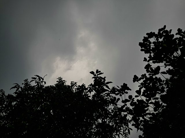 1000023608.jpg