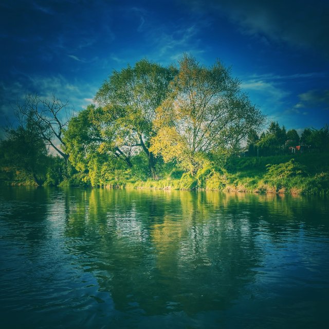 IMG_7334.jpeg