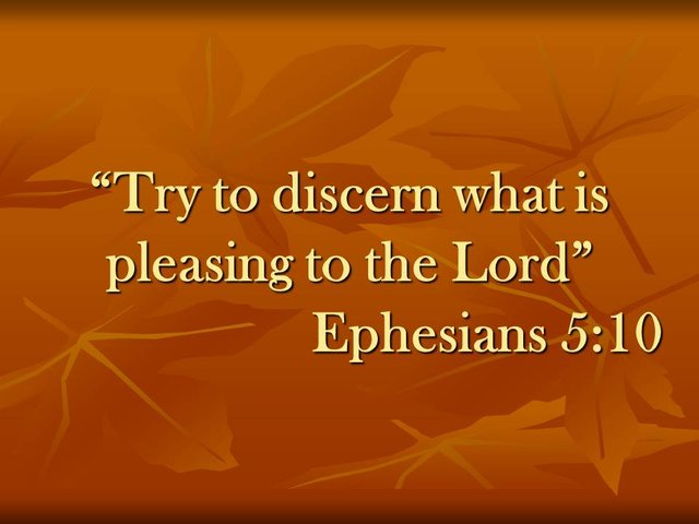 Scriptures on faith. Try to discern what is pleasing to the Lord. Ephesians 5,10. Exegesis and commentary.jpg