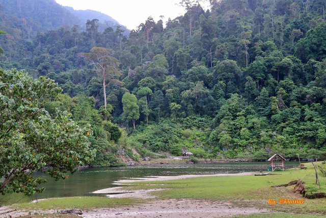 Gubuk dan Hutan (6).JPG