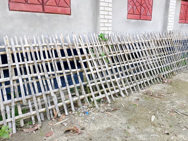 1000040800.jpg