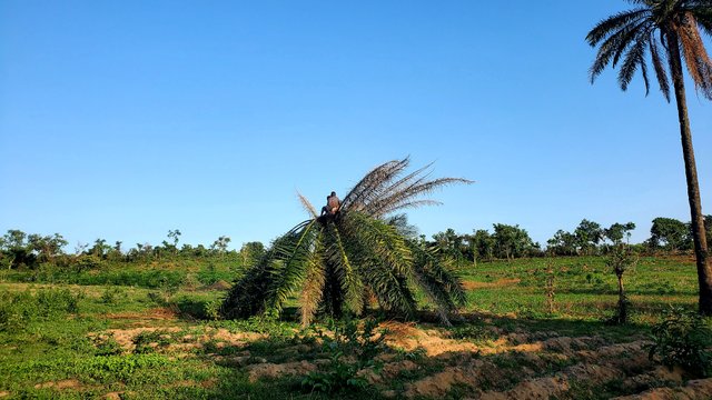 20250608_173441.jpg