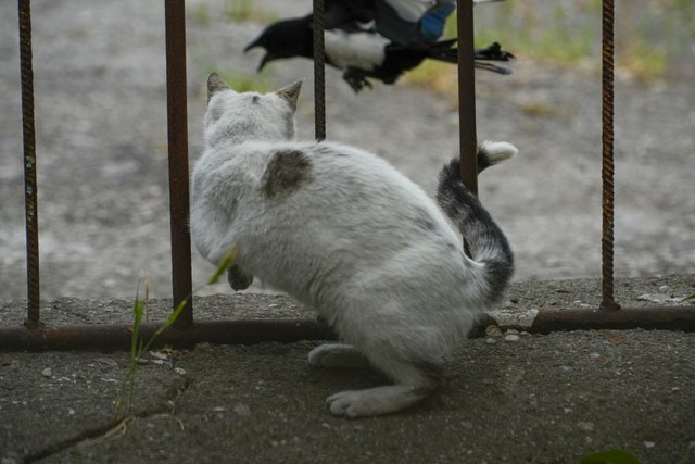 DSC05250.jpg