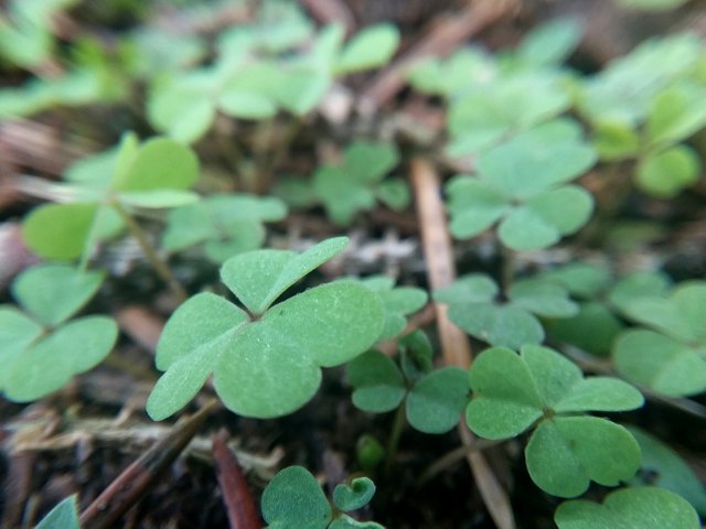 20180524_214440.jpg