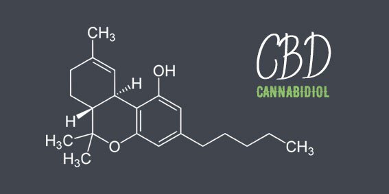 cannabidiol-cbd.jpg