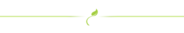 line-separator-green plant.png