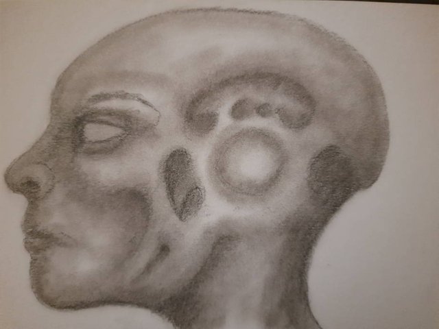 20250805_104539.jpg