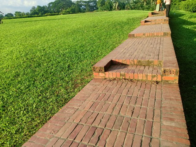IMG20250818173119.jpg