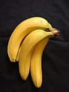 bananas on black background 100x133.jpg