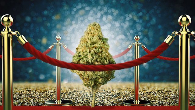 hollyweed-celebrities-cannabis.jpg