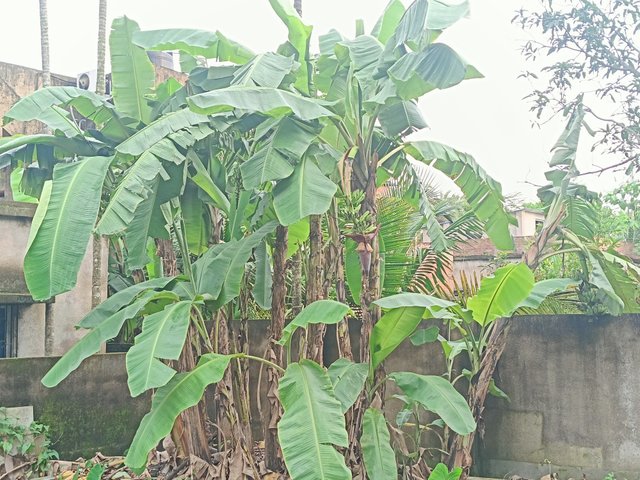 1000054313.jpg