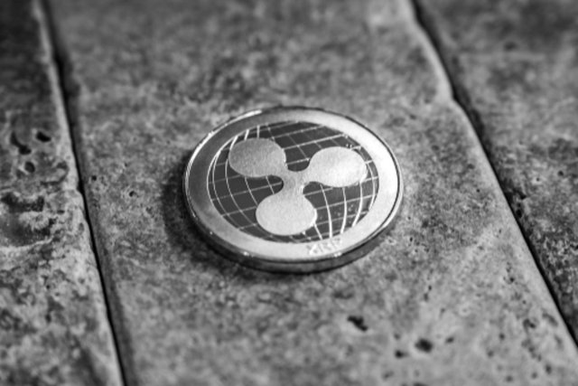 xrp-2 (1).jpg