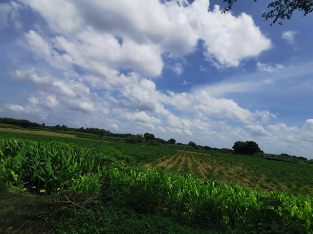 IMG_20240910_121419.jpg