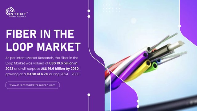 Fiber in the Loop Market-01.jpg