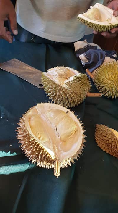 durian5.jpg