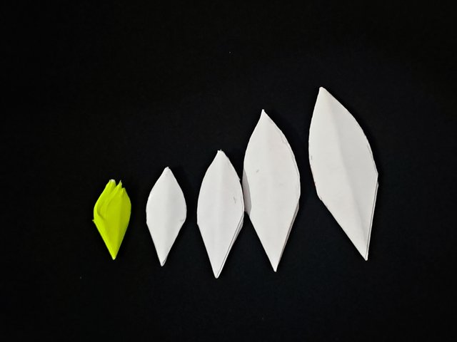 20240927_194002.jpg