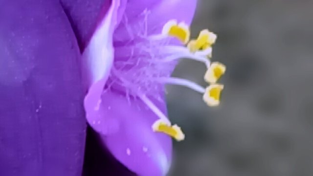 Image-1583743834581.jpg