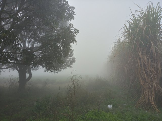 20220206_081744_HDR.jpg