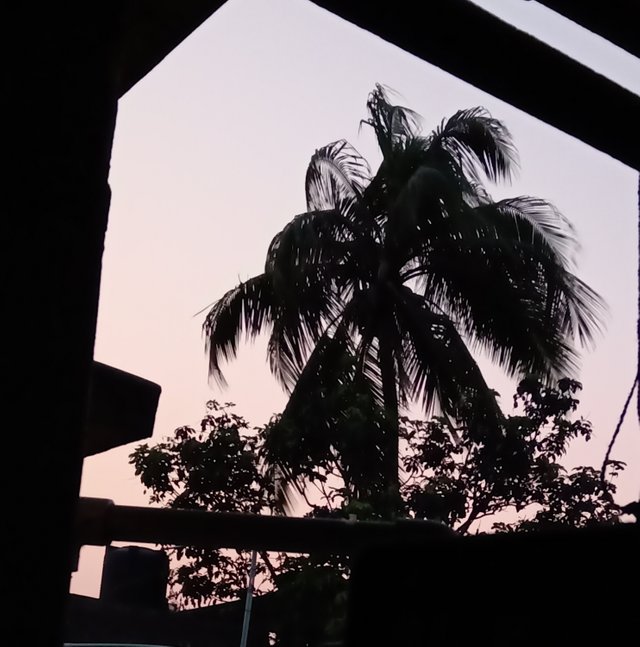 IMG_20250726_201920.jpg