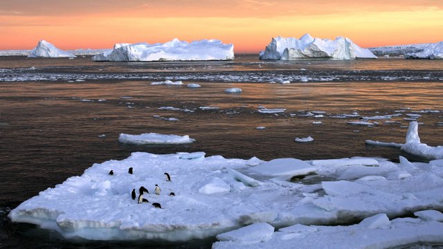 penguin-sunset-antarctica-global-warming1.jpg