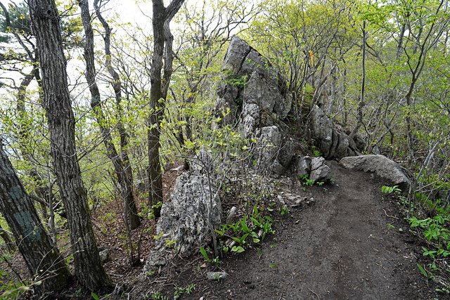 b-DSC09226.JPG