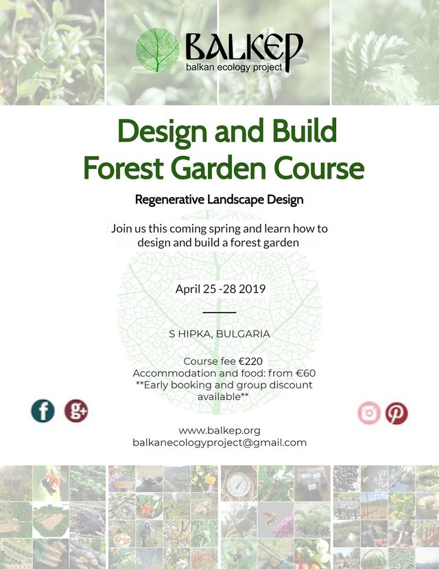 Design and Build - Forest garden Course (1).jpg