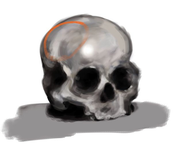 skull 2 2.jpg