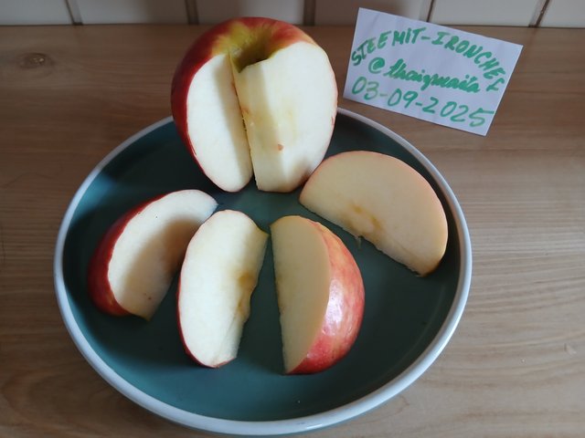 20250903_125832.jpg