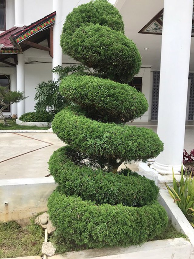 Kantor Bupati Gayo Lues_06.jpg