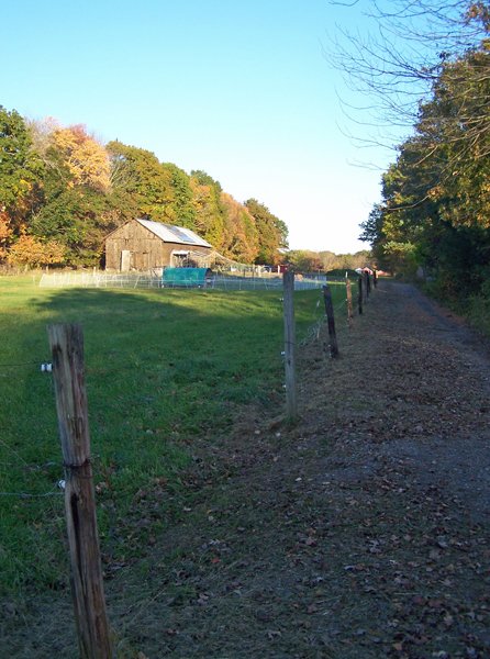 Driveway to barn weedwacked crop October 2019.jpg