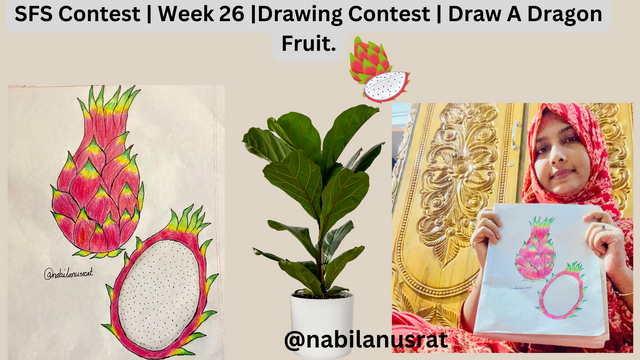 SFS Contest  Week 26 Drawing Contest  Draw A Dragon Fruit..png