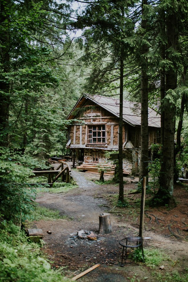 vertical-shot-wooden-cabin-woods-surrounded-by-tall-trees-sunny-day.jpg