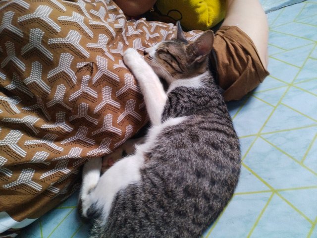 IMG20250703095106.jpg