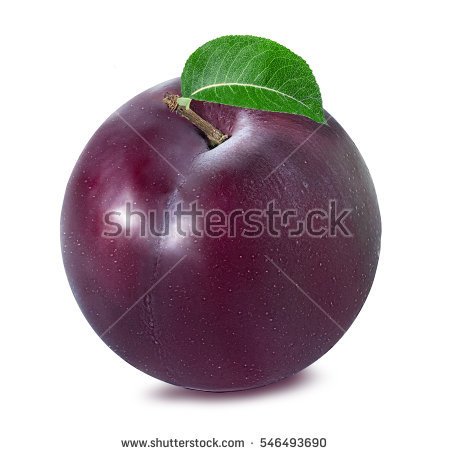 stock-photo-plum-on-a-white-background-546493690.jpg