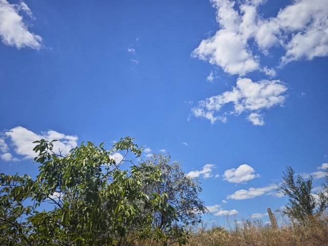 1000084486.jpg