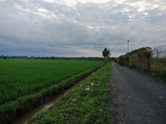 IMG20221222173512.jpg