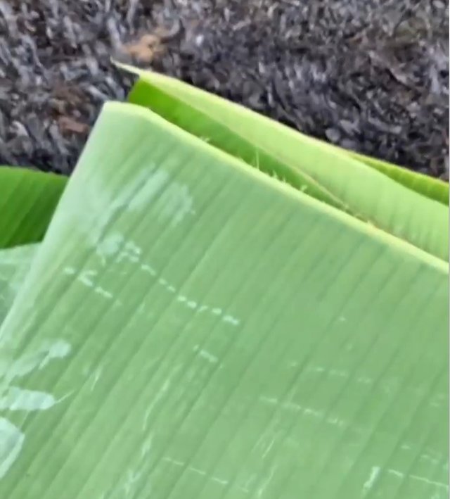 1755435408603.jpg