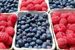 berries-blueberries-raspberries-fruit-122442.jpeg