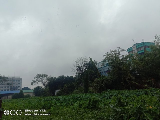 IMG_20250709_145349.jpg