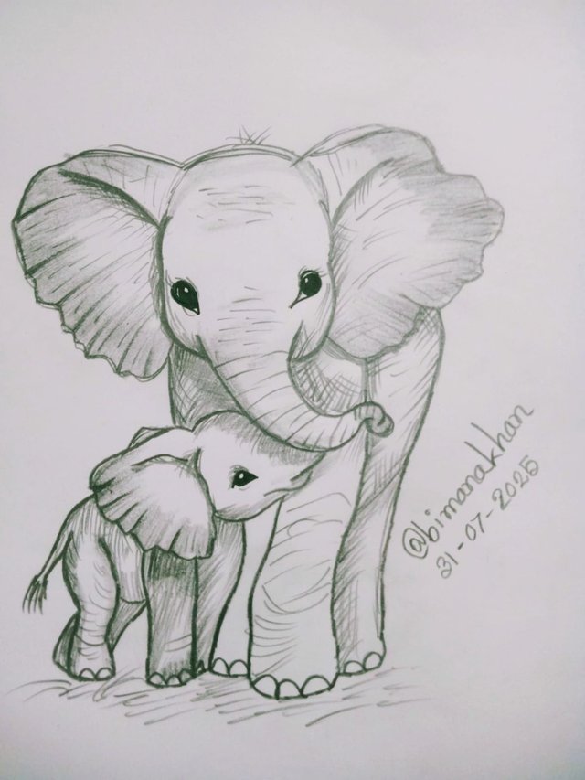 Elephant (6).jpg