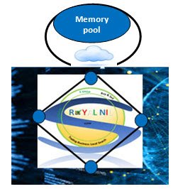 Royal Nil Coin Memory  Primary Pool.jpg