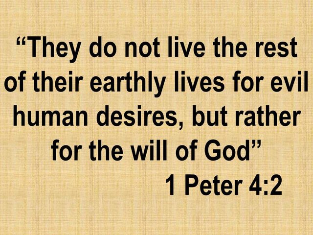 Daily Bible. They do not live the rest of their earthly lives for evil human desires, but rather for the will of God.jpg