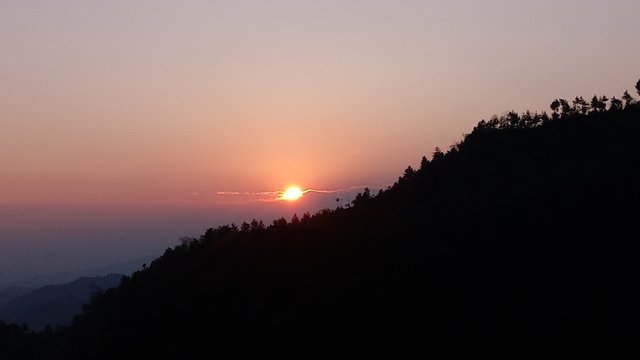 20250322_061854.jpg