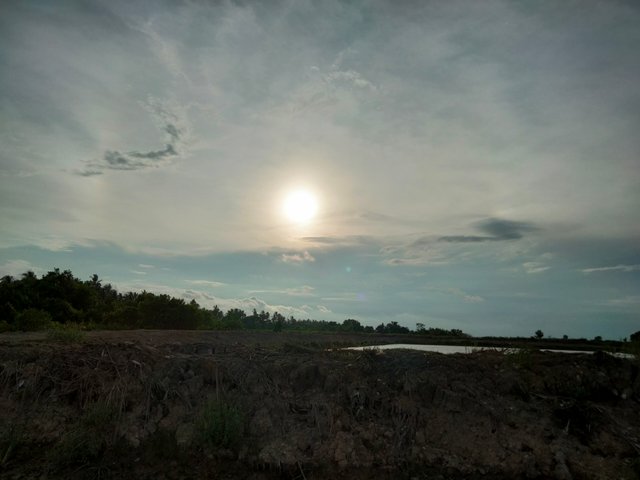 IMG20250215173857.jpg
