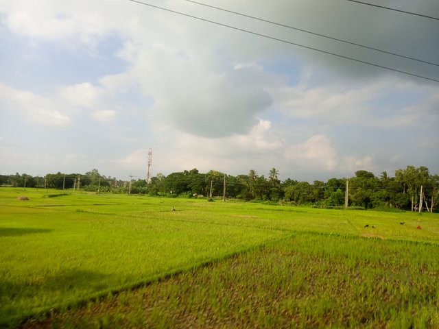 krishi (1).jpg