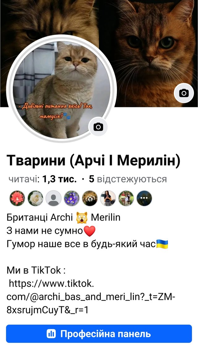 1000002436.jpg