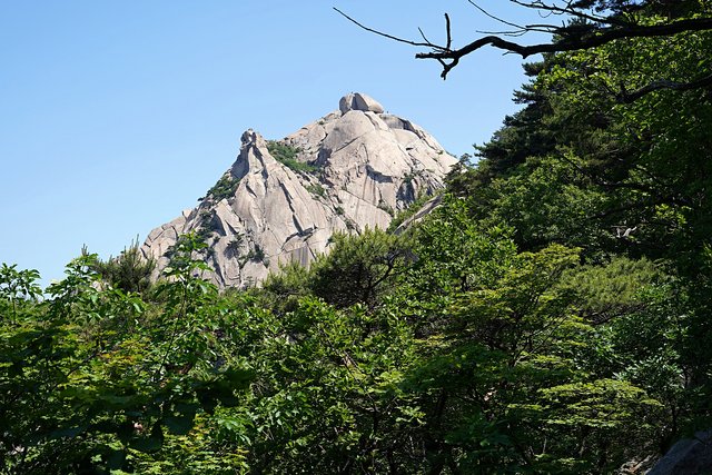 b-DSC04709.JPG