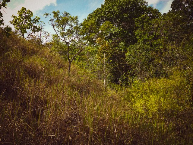 P1280344.jpg
